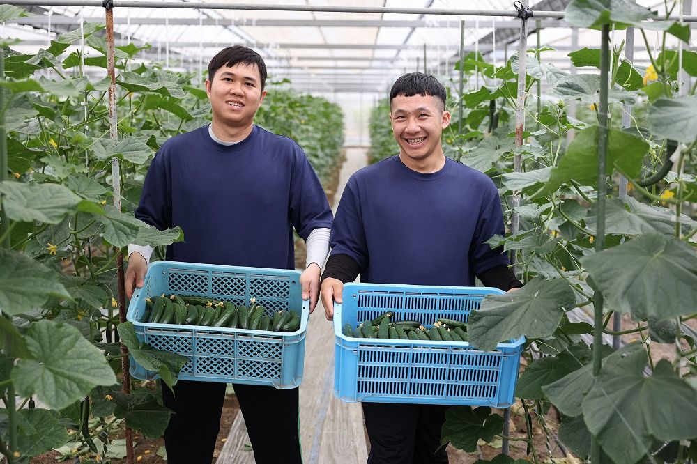 Đơn hàng nông nghiệp đi Nhật