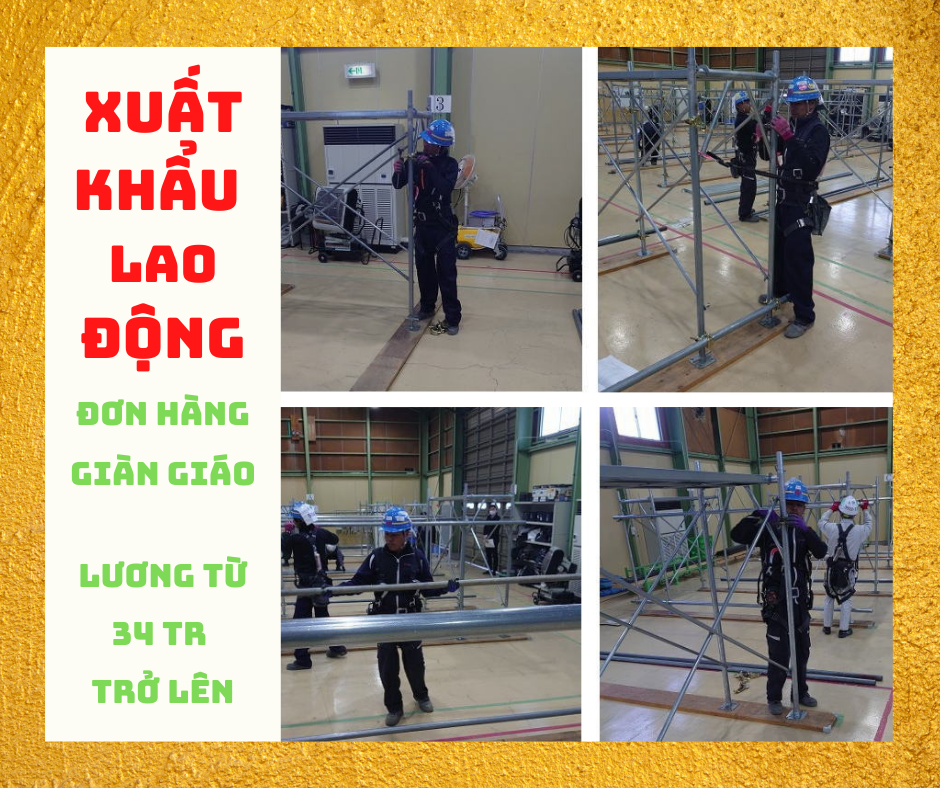 [DH00065] - ĐƠN HÀNG XÂY DỰNG TỔNG HỢP 